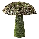 スパイス DECOR MOSS MUSHROOM L XHDY5123