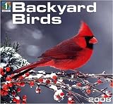 Backyard Birds 2008 Wall Calendar