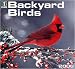 Birds Backyard Birds Wall (ZEBRAS) - 2008 Calendar