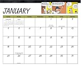 Get Fuzzy 2009 Wall Calendar