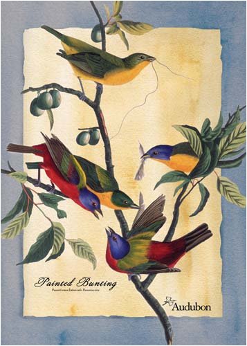 Audubon Garden Flag-Painted Bunting