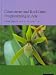 Books : Concurrent and Real-time Programming in Ada 2005