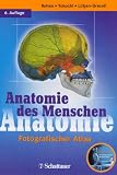 Produkt-Bild: Anatomie des Menschen, mit CD-ROM Anatomie Interaktiv