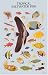 Tropical Saltwater Fish Poster (Posters)