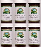 MARSHMALLOW & FENUGREEK, Herbal Food Supplement., 4 Kids Too! 100 Capsules, 500 mg, "FAST SHIPPING" 6 PACK SAVING!