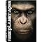 favorite movies of 2011