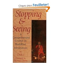 Stopping and Seeing: A Comprehensive Course in Buddhist Meditation