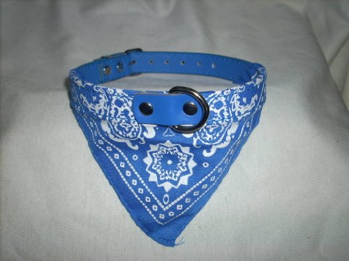 Hundehalsband mit Tuch in Hellblau