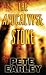 Books : The Apocalypse Stone