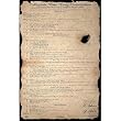 (24x36) Beer Pong Constitution Art Poster Print