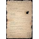 Beer Pong Constitution Subject Poster Print, 24x35 Poster Print, 24x35 Poster Print, 24x35