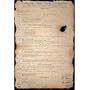Beer Pong Constitution Subject Poster Print, 24x35 Poster Print, 24x35 Poster Print, 24x35
