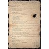 Beer Pong Constitution Subject Poster Print, 24x35