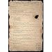Beer Pong Constitution Subject Poster Print, 24x35 Poster Print, 24x35 Poster Print, 24x35