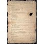 Beer Pong Constitution Subject Poster Print, 24x35
