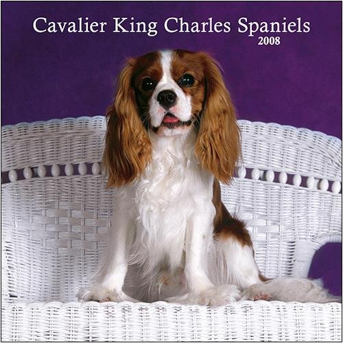 Cavalier King Charles Spaniels 2008 Wall Calendar