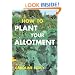 How to Plant Your Allotment