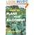 How to Plant Your Allotment