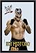 WWE Merchandise - Bar Mirror - Rey Mysterio (Size: 9" x 12")