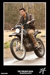 Taylor Lautner signed Twilight autograph print - HALF PRICE