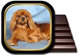 Cavalier King Charles Spaniel Coaster Set