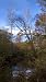 Fall in Prince William Park, Virginia Photograph - Beautiful 16x20 Photographic Print by Brendan Reals