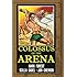 Colossus of the Arena