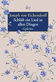 Schl�ft ein Lied in allen Dingen: Gedichte