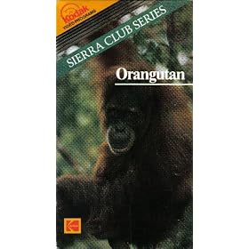 Sierra Club Series - Orangutan [VHS]