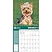 Yorkshire Terriers American Kennel Club 2015 Wall Calendar