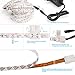 LE® 16.4ft 12V Flexible LED Strip Lights, Blue, 82 Lumens / 1.5 Watts per foot, 300 Units 3528 LEDs, Non-waterproof, Light Strips, LED Tape