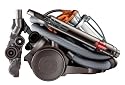 Dyson DC20 Animalpro Staubsauger ohne Beutel