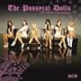 Pussycat Dolls Square Calendar 2008