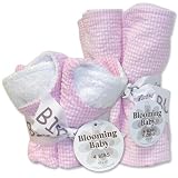 Trend Lab 20934 PINK GINGHAM - BIB BOUQUET (# 102134) AND BURP BOUQUET (# 102131) - SET