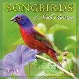 Songbirds of North America 2013 Wall (calendar)