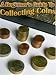 Begginner's Guide to Coin Collecting