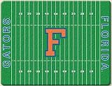 Large Cutting Board ~ Florida Gators football field ~ made of tempered glass ~ code 919CLC