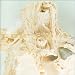 Pale Saints-In Ribbons
