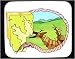 Decorated Mouse Pad with map, erosion, gouging
