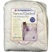 Baby : Natural Quilted Crib Pad