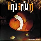 Aquarium 2008 Wall Calendar
