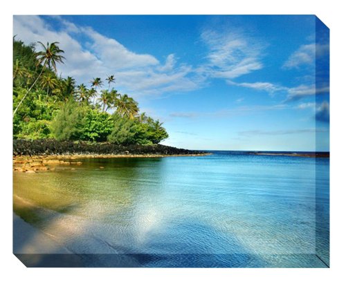 Blue Garden Designs #33421OD Paradise Beach Outdoor Picture on Canvas Art 40-inch-by-30-inch