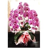 ���i�̏ڍ�