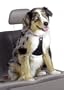 Easy Rider Car Harness - X-Large