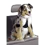Easy Rider Car Harness - Medium