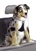 Easy Rider Car Harness - Medium