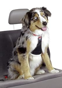 Easy Rider Car Harness - Medium