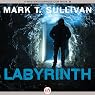Labyrinth