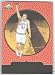1998 Upper Deck Ovation Dirk Nowitzki Rookie Card