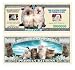 (10) Persian Cat Million Dollar Bill